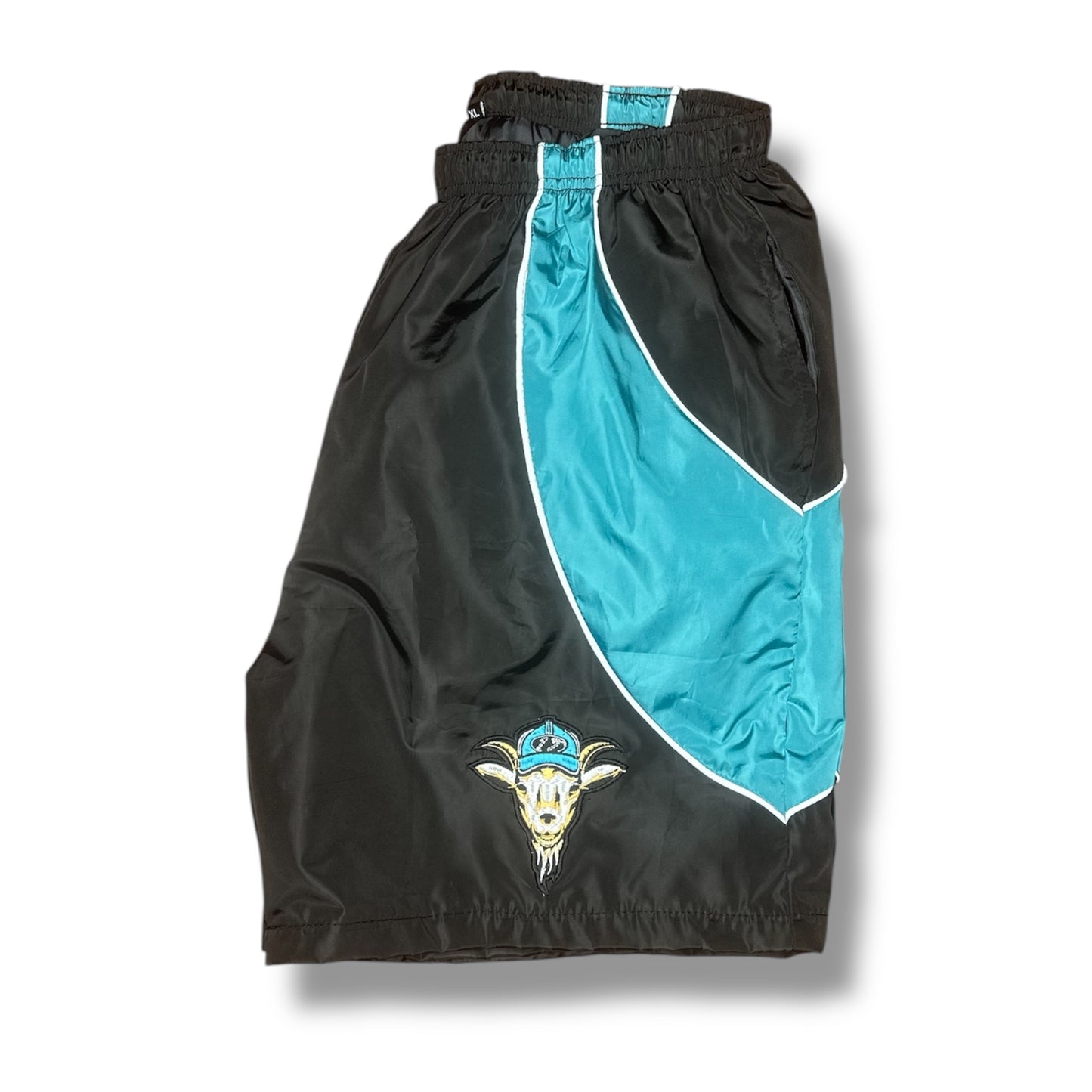 Dash State Shorts
